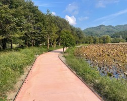 원남저수지 보라보라파크