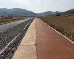 달천청보리밭